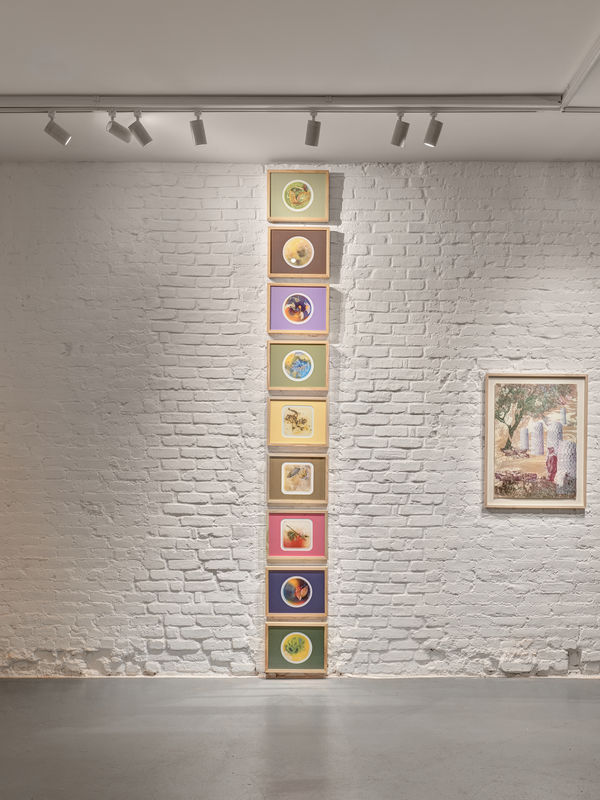 Abu Zaineh The Cellular Burden Of Belonging 2026 Install 8