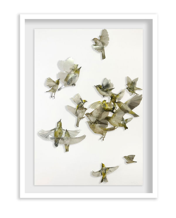 Ingrid I Carry Your Heart