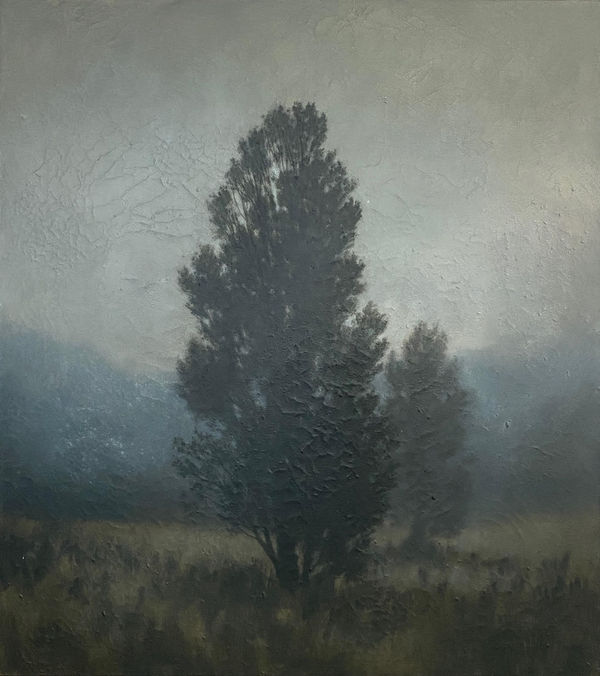 Michael Dines, Jacob's Creek Cedars, 2024