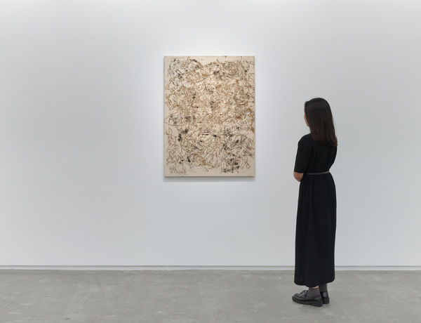 2024 Cole Lu And Djordje Ozbolt Interstellar Traveler To Home 7