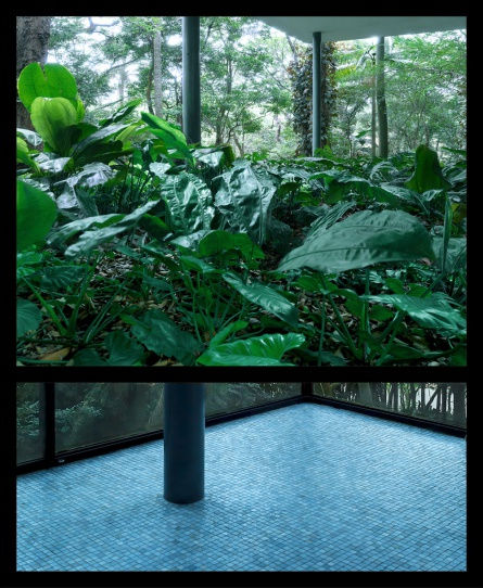 Exposição Institucional: Instituto Figueiredo Ferraz