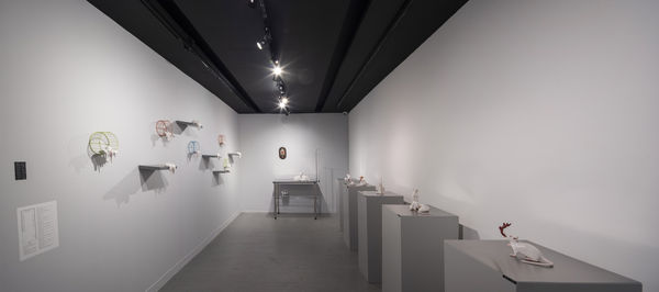 Vista geral exposição Fístula de Iago Gouvêa. Foto: Leo Lara