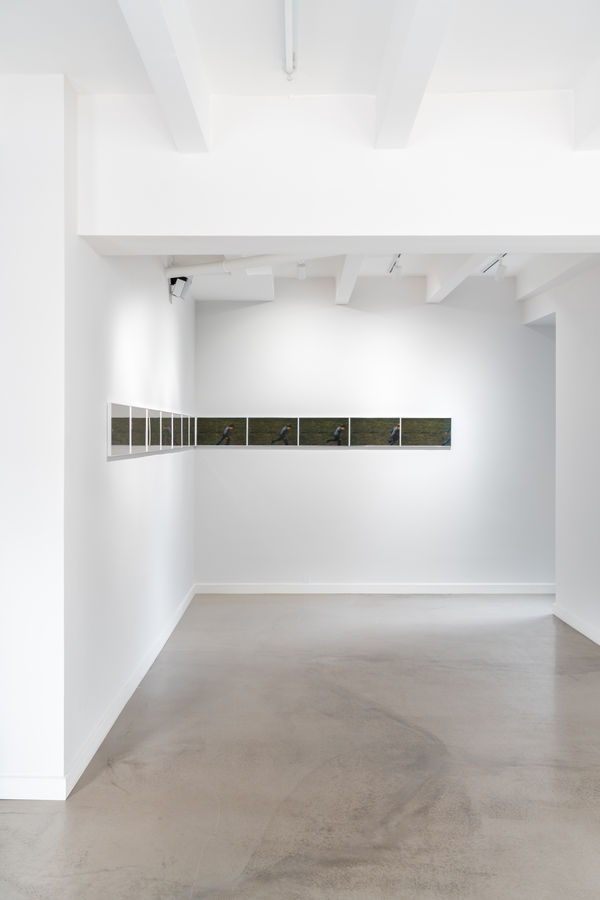 Garrett Pruter I The Birds