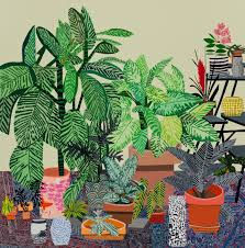Colorful plant arrangement by Jonas Wood featuring various potted plants with intricate leaf patterns.
