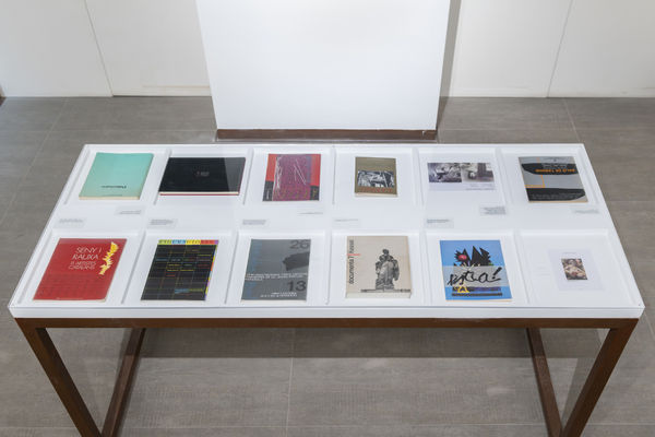 Photo credit: Roberto Ruiz