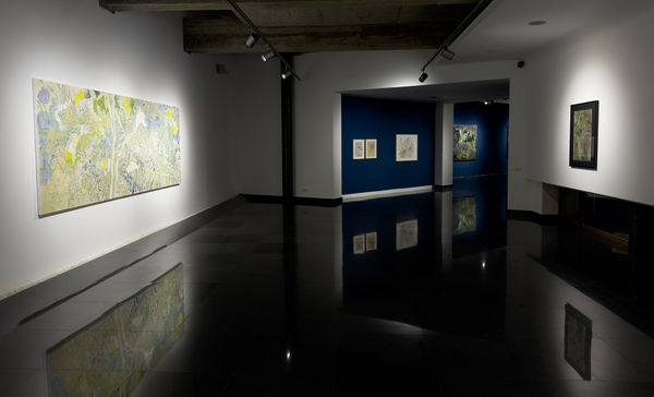 În Ghicitură - Constantin Flondor