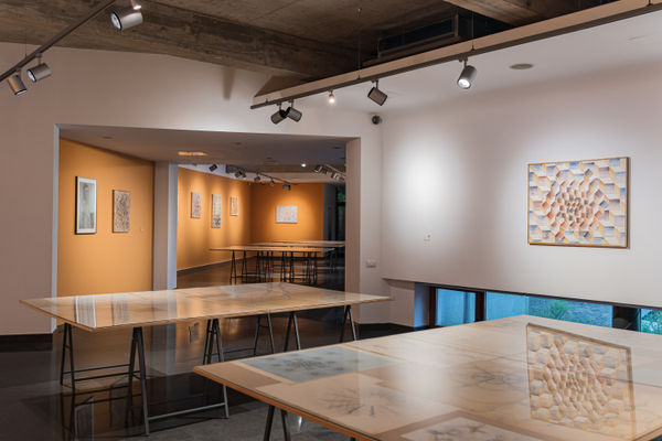 Lucru | Work Liviu Stoicoviciu