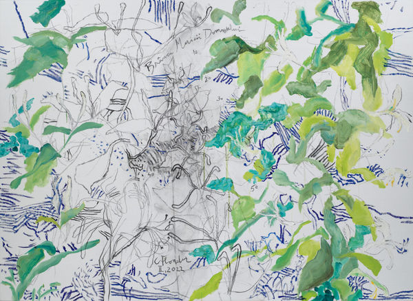 Împărăția Grădinii Constantin Flondor