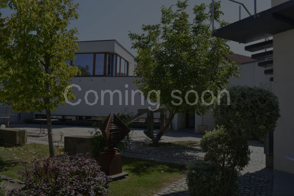 Group show, curated by Norbert Filep