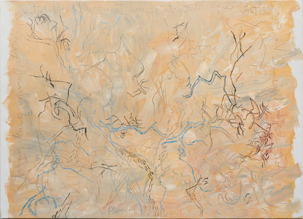 Constantin Flondor - Interviu cu Alina Tonigariu pentru Vorbitorincii