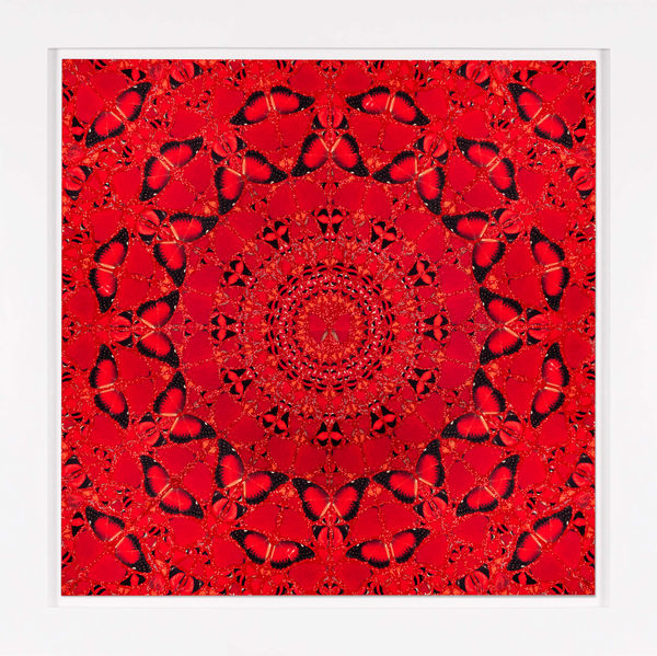 The Empresses by Damien Hirst