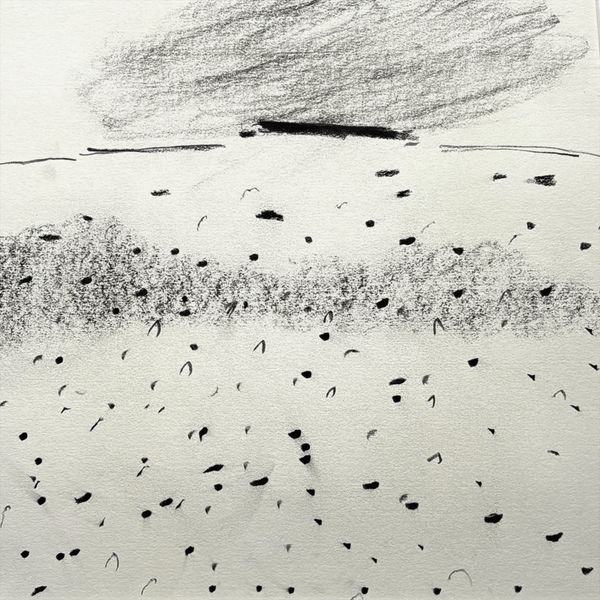 Icelandic En Plein Air Speed Drawing 20 1