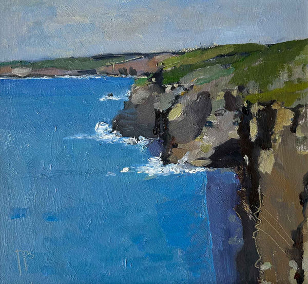 Tom Stevenson - Trebarthwith Strand