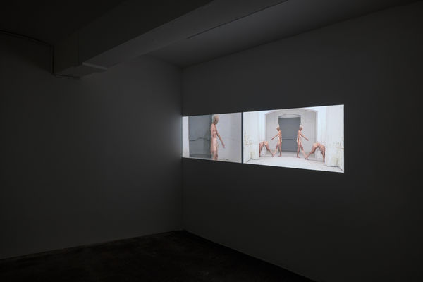 Shujing Huang (still matter)