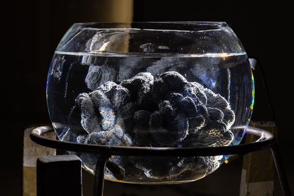 ZHANG Ruyi 张如怡 Circular Ruin环形废墟, 2023 Density board, plasterboard, wooden stool, construction debris, concrete, round fish tank, metal frame, tape 密度板、石膏板、木凳、碎石、混凝土、圆形鱼缸、金属铁架、胶带 30 × 30 × 98 cm(H)