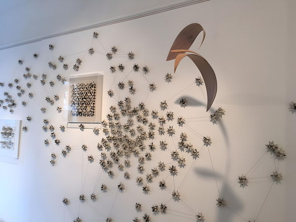 Img0708 Fotor 2023102716821