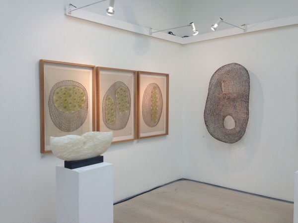 Img 7782 Fotor 20230922122039