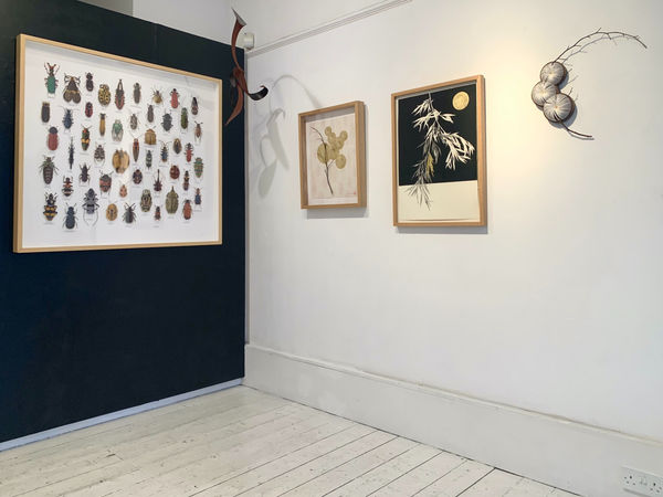 Img9655 0 Fotor 2023101016521