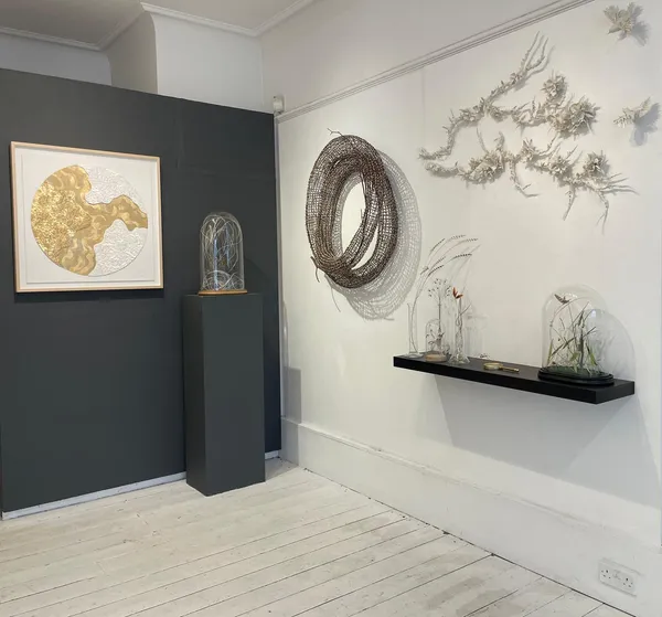 Whatsapp Image 2026 03 13 At 12 54 36