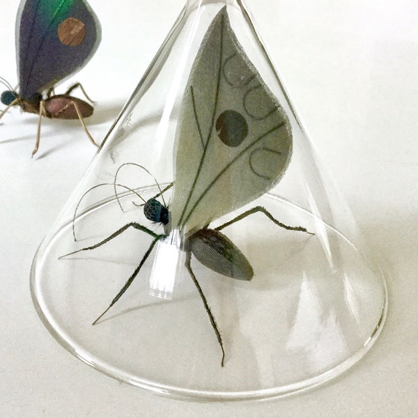 All My Desires Christmas Show