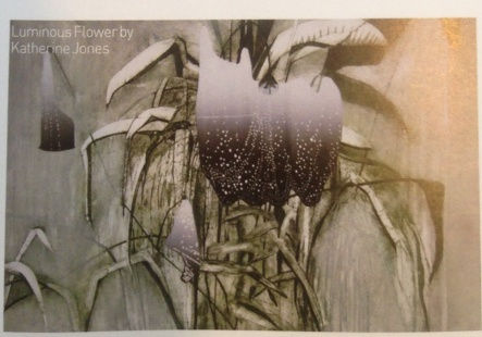 Katie Jones: The Terrarium Drawn - The Marylebone Journal