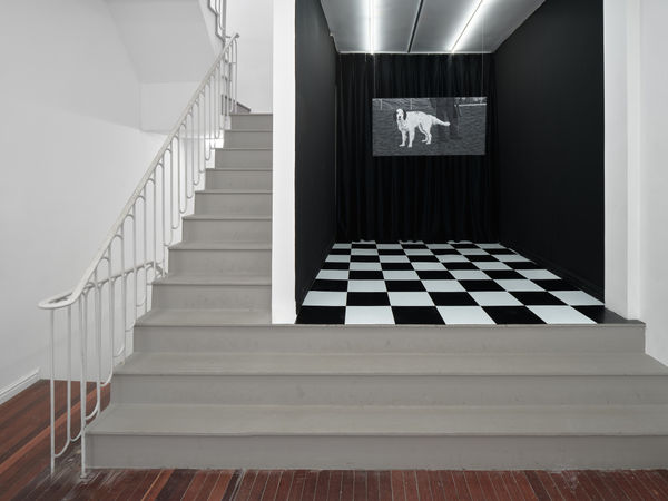 Wechatimg14902D1016873A179F50Bce18F214328