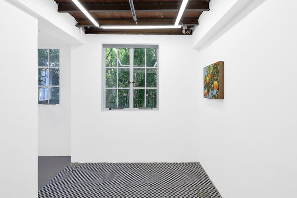 Wechatimg494E8Be650A9D05E7D0E956473E24208