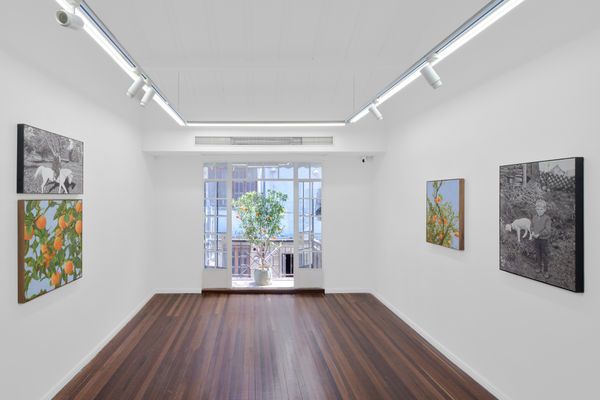 Wechatimg5A257503C61F764Db1E76942F389860A