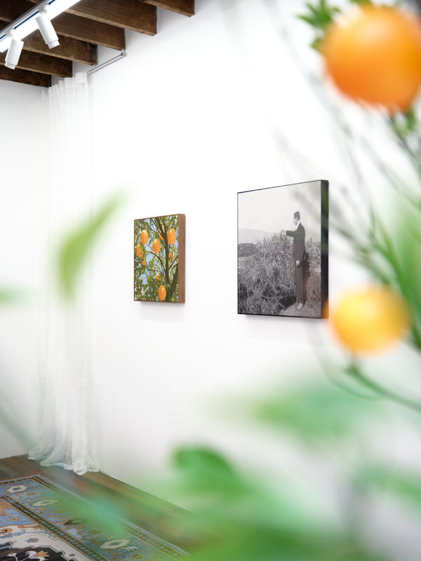 Wechatimgdc227700383B836Cc141891698E8720A