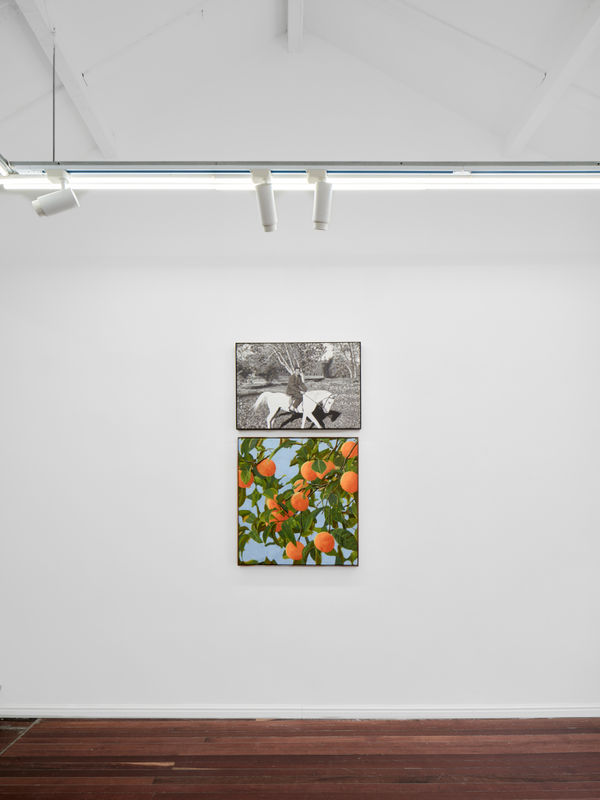 Wechatimgebddf0C8772Da694B2Bb9Db5670657F7