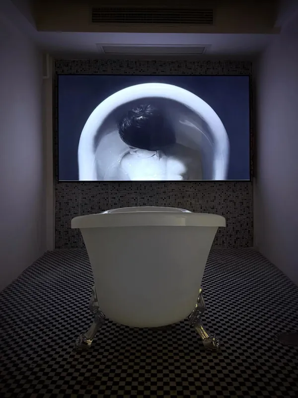 C5304E42299Fee87905859Cfe1499476