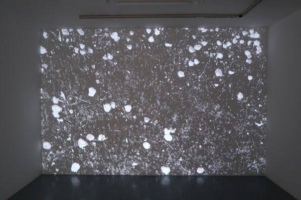 Detanico Lain, Deep Fields, 2023