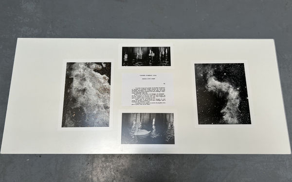 Villarrose-Karen de Loisy , Apparitions 3 (pour Jacques Roubaud), 2025