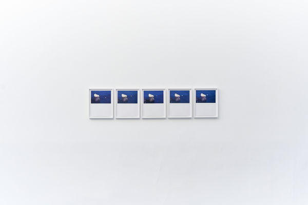 Daniel Gustav Cramer Tales (Es Colomer, Formentor, Mallorca, October 2021), 2022