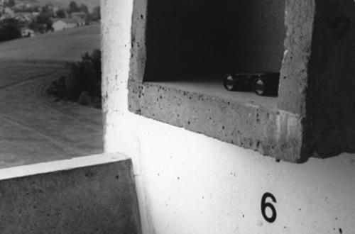 Unité d'habitation Renée Green | SOLO SHOW