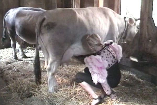 Video still, Ursula Hodel, Milking the Swiss Cow, 1999