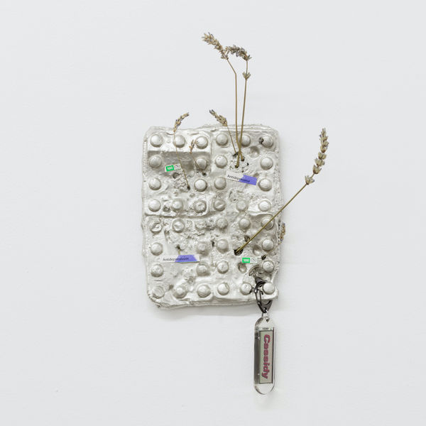 Keepin’ it 100, 2019, tin, lavender, paper and keychain, 36 x 17 x 10 cm