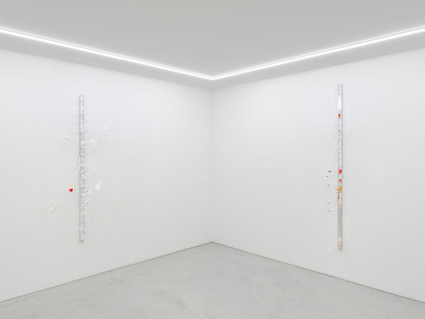 Galerie Philippzollinger Elza Sile 2025 11Lowres Srgb