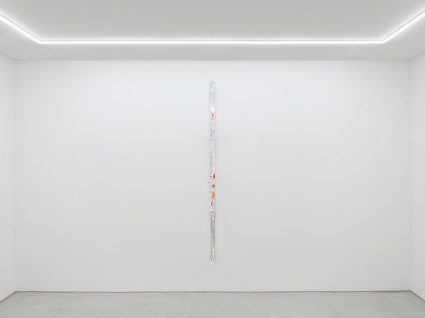 Fried Sacred Shrimp, 2025, aluminum, wire, plaster, collagen, acrylic, wood, fire, 180 x 40 x 80 cm