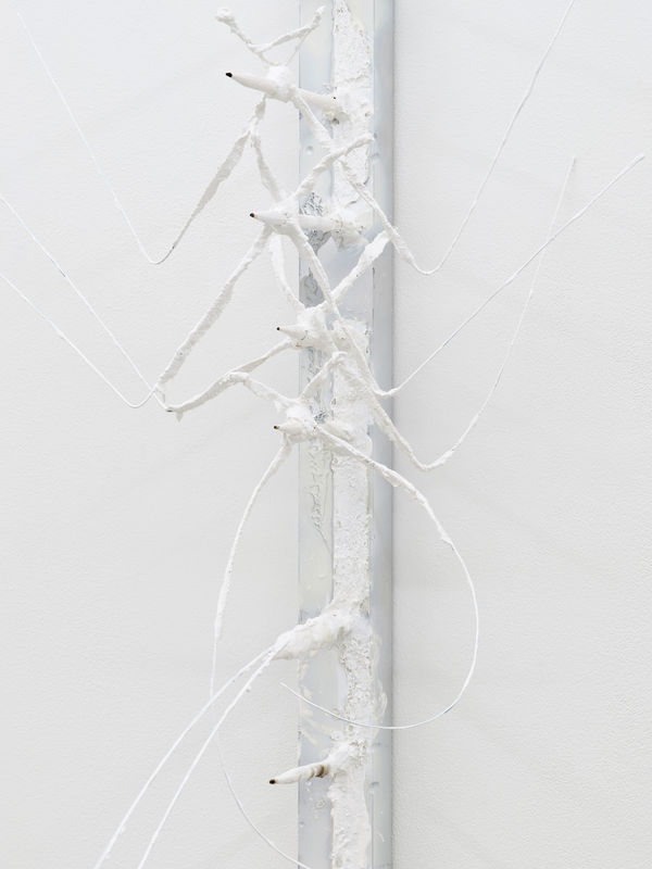 Detail, Fried Sacred Shrimp, 2025, aluminum, wire, plaster, collagen, acrylic, wood, fire, 180 x 40 x 80 cm