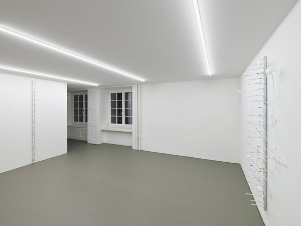 Galerie Philippzollinger Elza Sile 2025 17Lowres Srgb