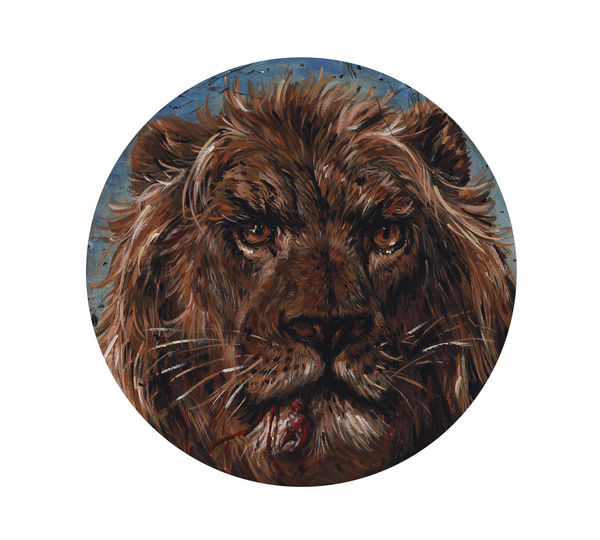 Bae Yoon Hwan, May I Bite You?, 2020