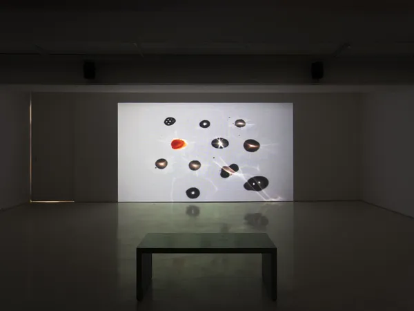 Park Sun Min, Park Sun Min, 2025