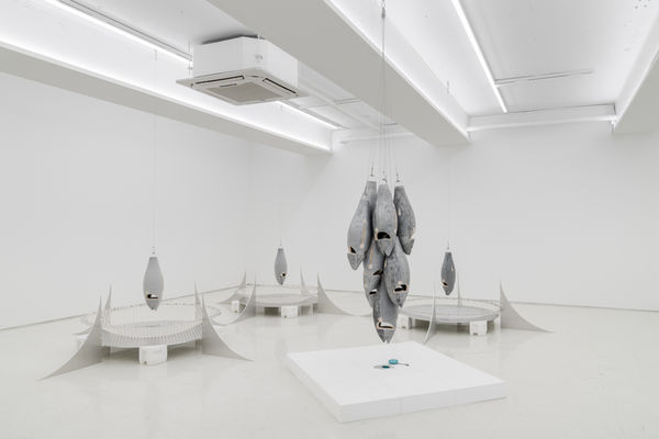 Lee Ue Sung Long Trip