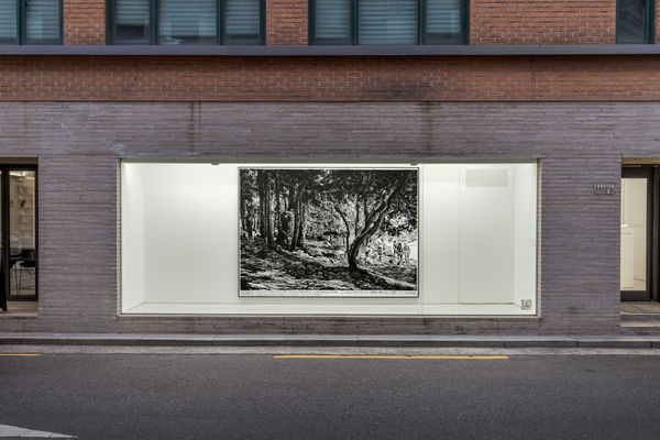 Rinus Van de Velde Chapter II Window | GEORGE, I YELLED…