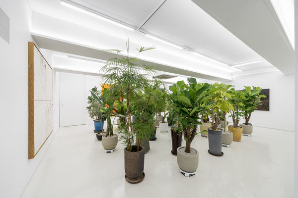 45cm Kang Seong Eun, Song Burn Soo, Suzanne Song, Yun Hyong Keun, Chung Chang Sup, Chung Hee Seung, Choi Sun