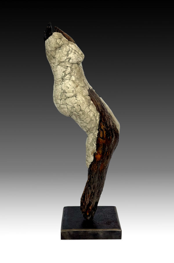 Denise Carletta, no. 8, 2024