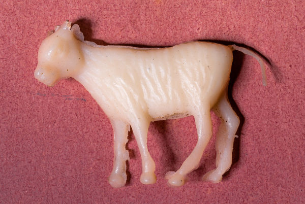 Evsiz Homeless 60X90Cm Orhan Cem Etin 2016