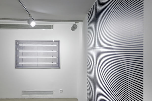 Aral K 2013 Hyphologie 2 Of 4