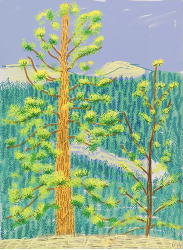 DAVID HOCKNEY The Yosemite Suite, No. 8, 2010 iPad drawing printed on paper 37 x 28 in Edition of 25 PRICE: Contact for Pricing